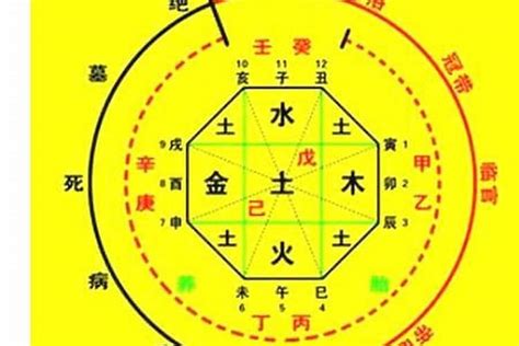 今日出生八字|生辰八字算命、五行喜用神查询（免费测算）